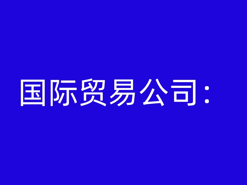 国际贸易公司：