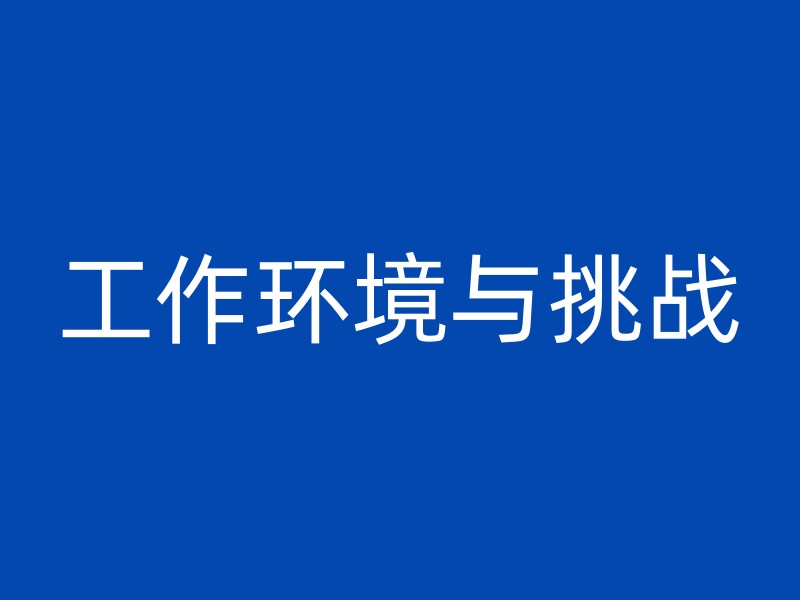 工作环境与挑战