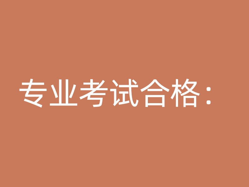 专业考试合格：