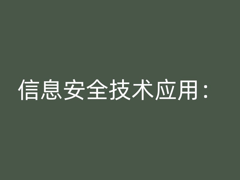 信息安全技术应用：