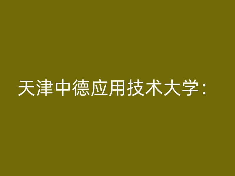 天津中德应用技术大学：