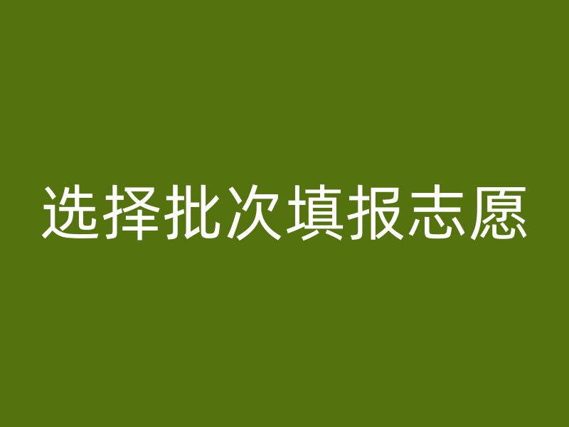 选择批次填报志愿