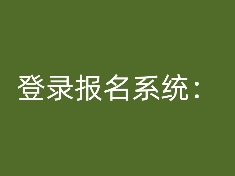 登录报名系统：