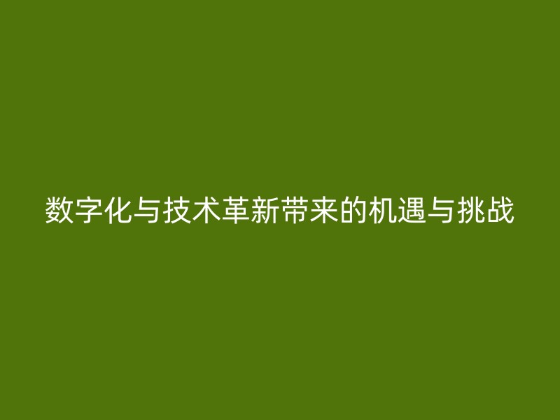 数字化与技术革新带来的机遇与挑战