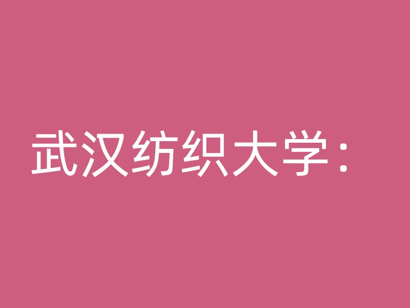 武汉纺织大学：