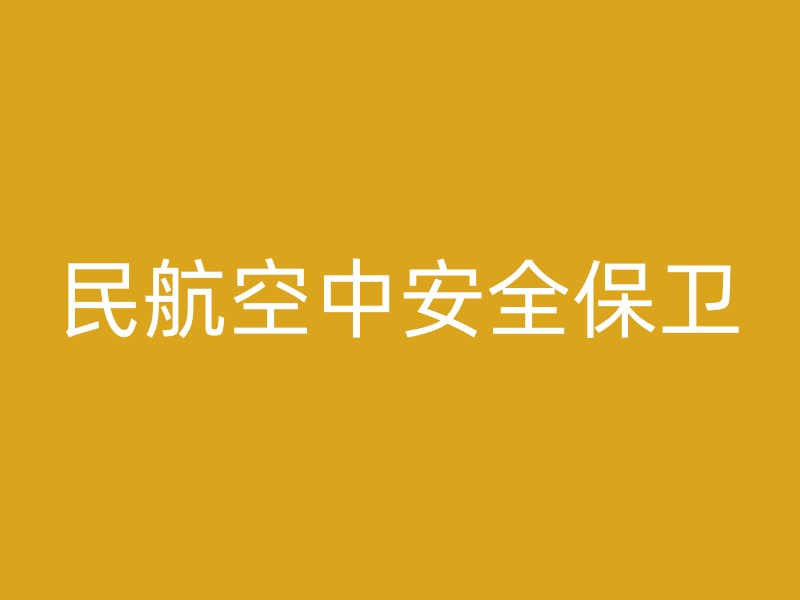 民航空中安全保卫