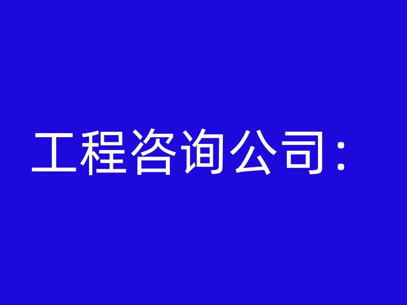 工程咨询公司：