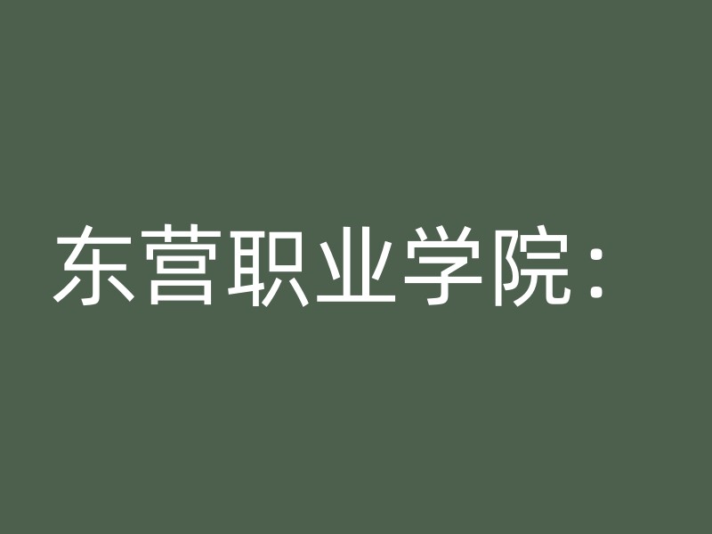 东营职业学院：