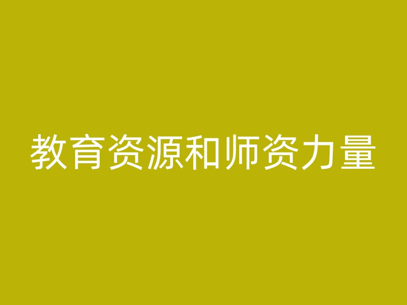 教育资源和师资力量