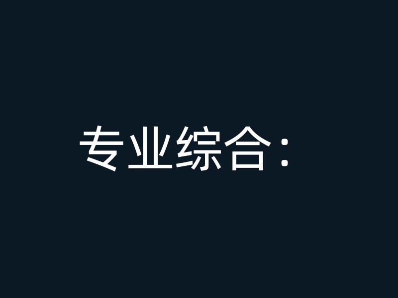 专业综合：