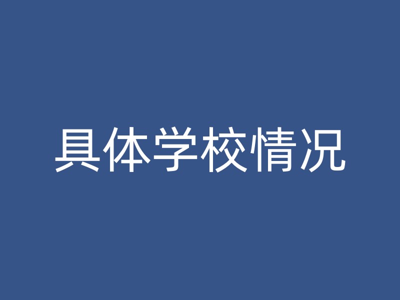 具体学校情况