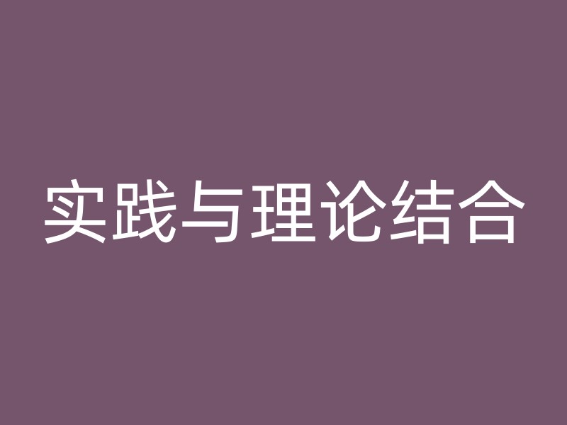 实践与理论结合