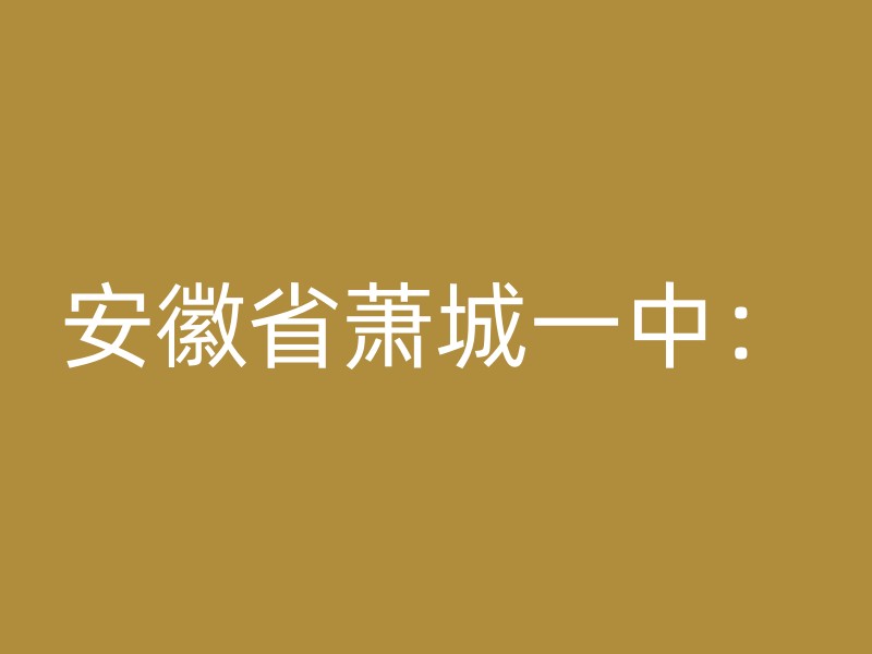 安徽省萧城一中：