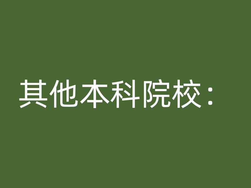 其他本科院校：