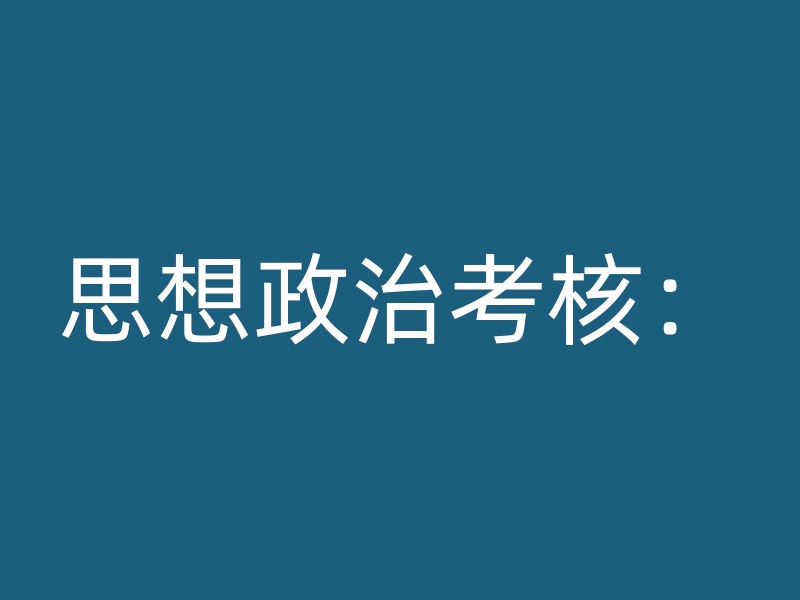 思想政治考核：