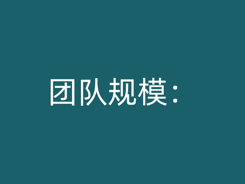 团队规模：