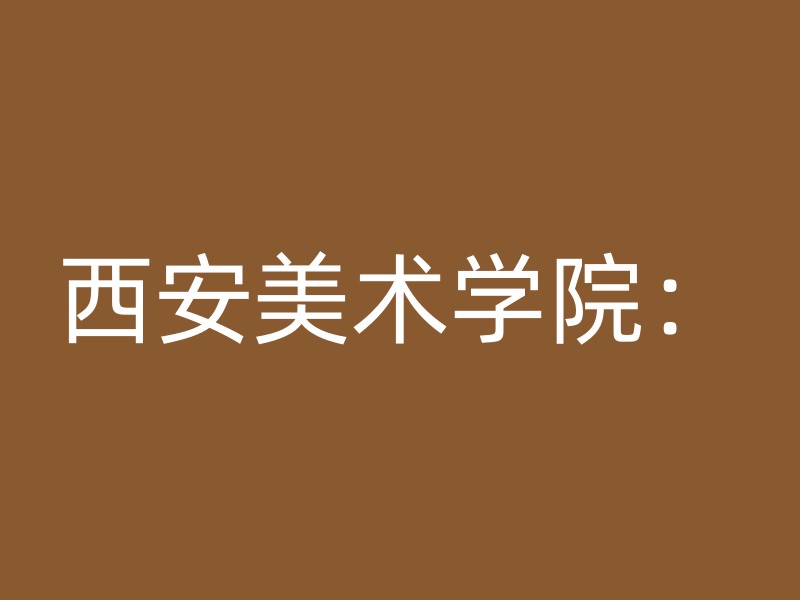 西安美术学院：