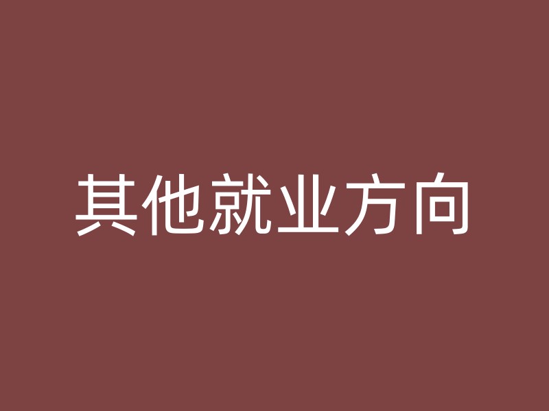 其他就业方向