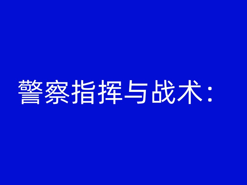 警察指挥与战术：