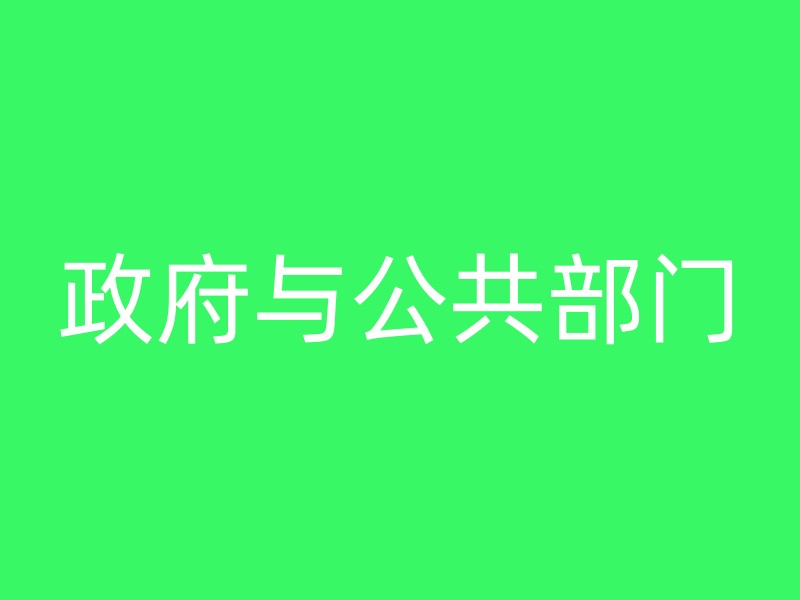 政府与公共部门