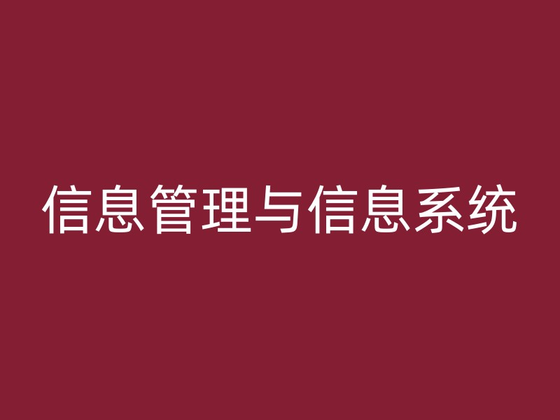 信息管理与信息系统