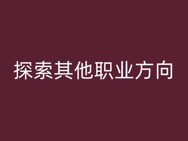 探索其他职业方向