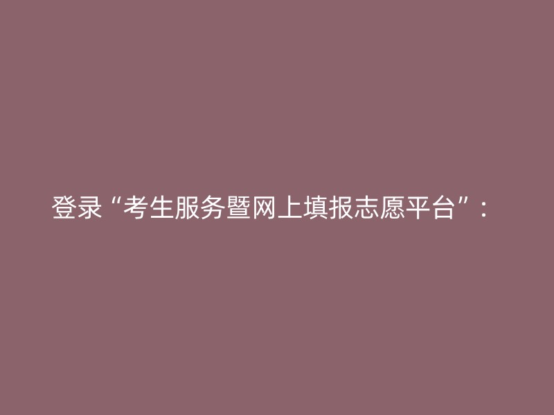 登录“考生服务暨网上填报志愿平台”：