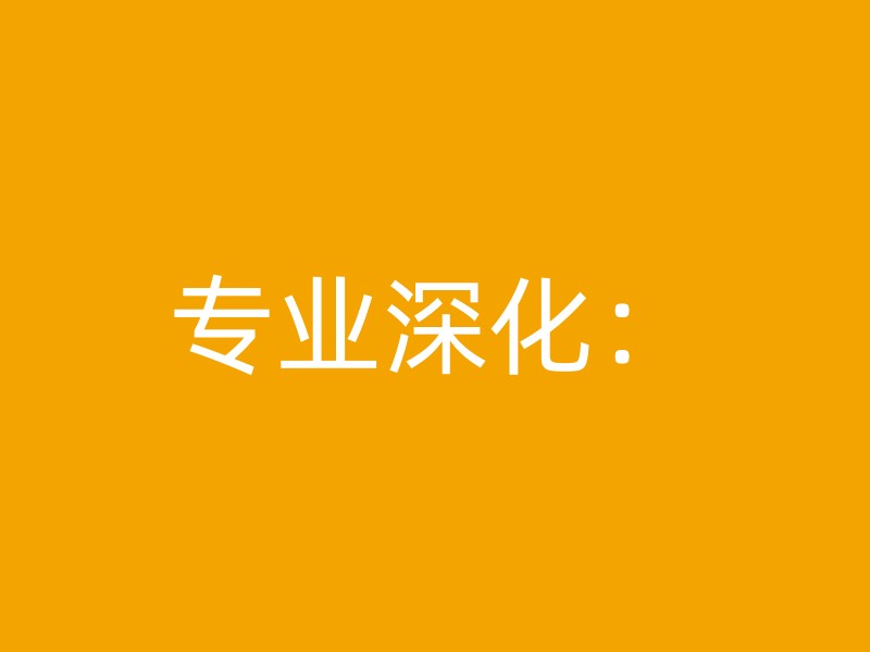 专业深化：