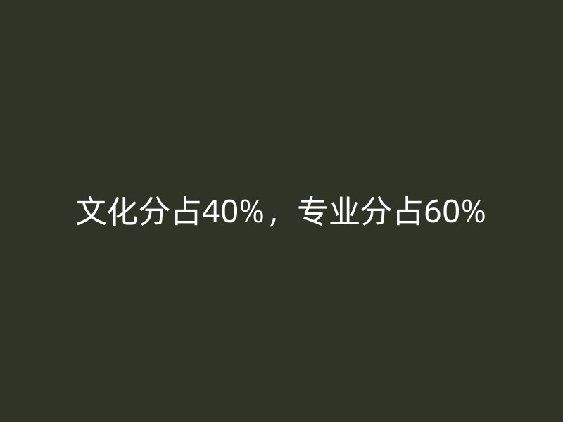 文化分占40%，专业分占60%