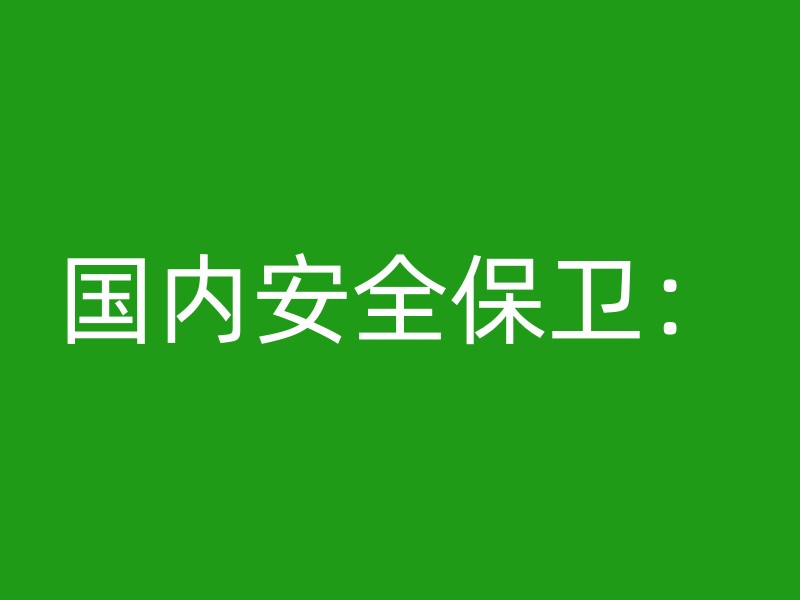 国内安全保卫：