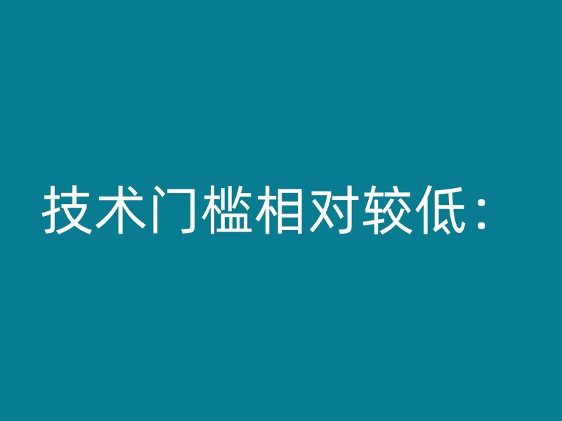 技术门槛相对较低：