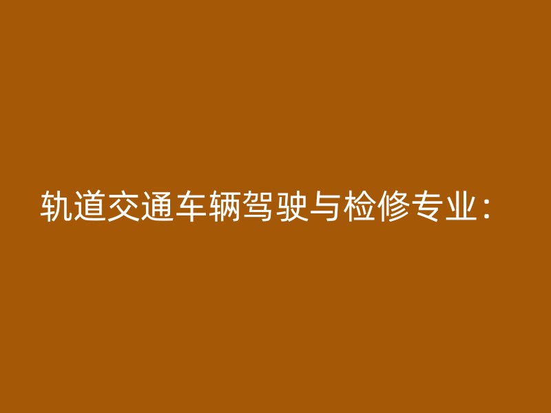 轨道交通车辆驾驶与检修专业：