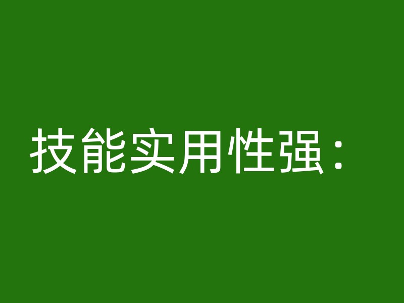 技能实用性强：