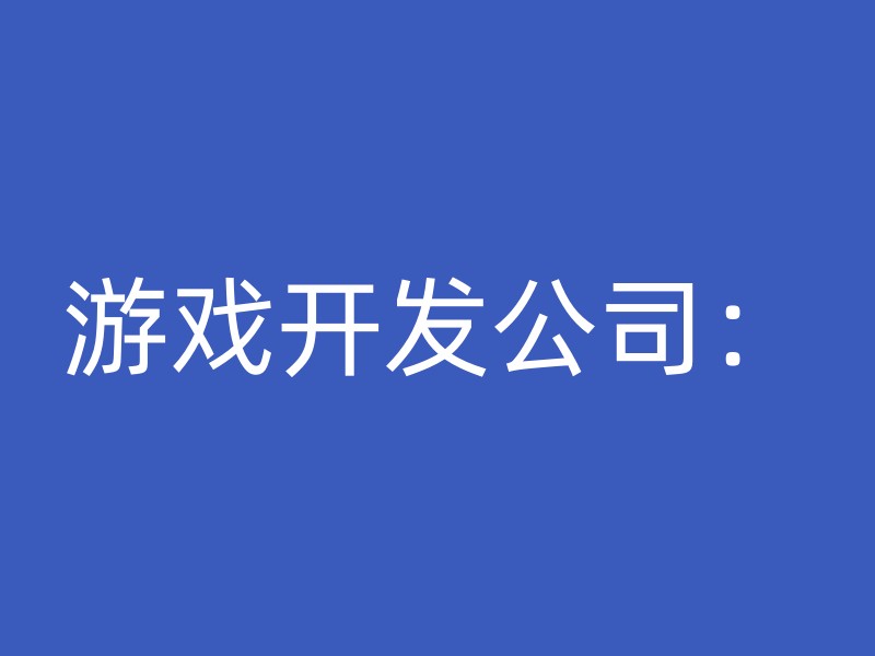 游戏开发公司：