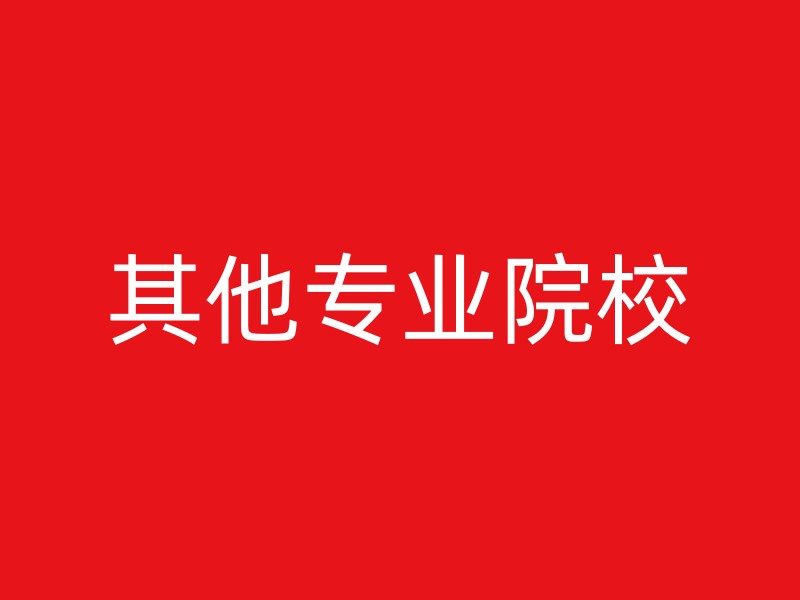 其他专业院校