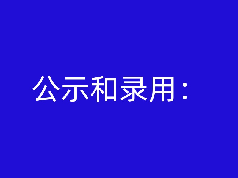 公示和录用：