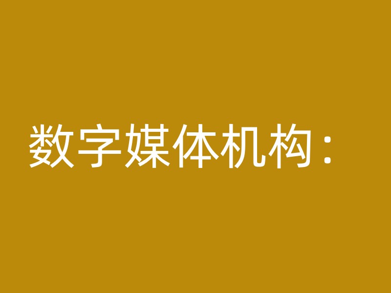 数字媒体机构：