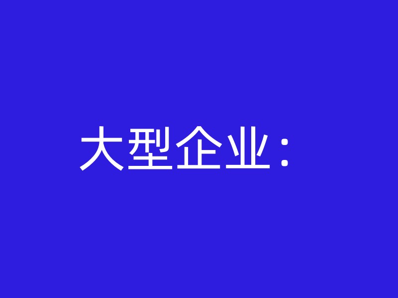 大型企业：