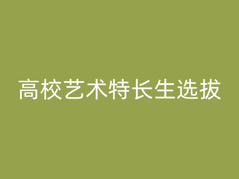 高校艺术特长生选拔