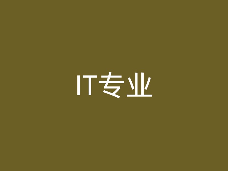 IT专业