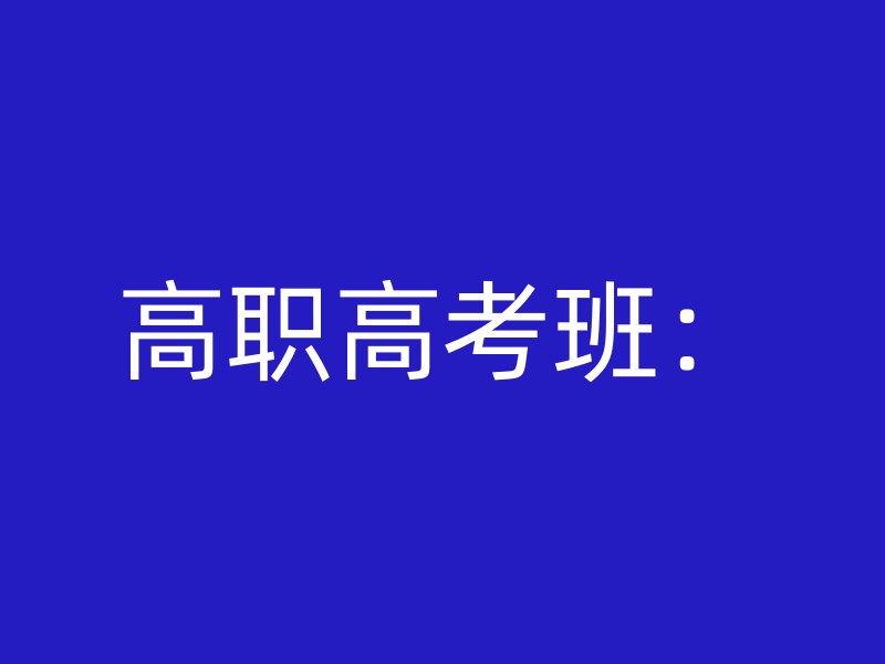 高职高考班：