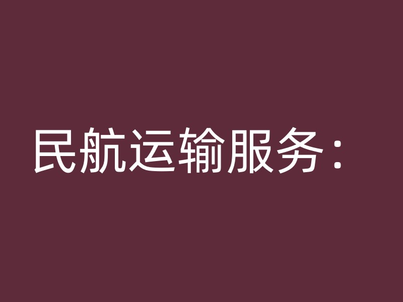 民航运输服务：