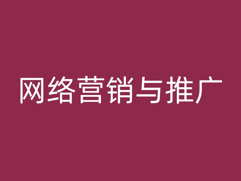 网络营销与推广