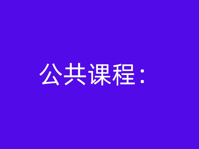 公共课程：