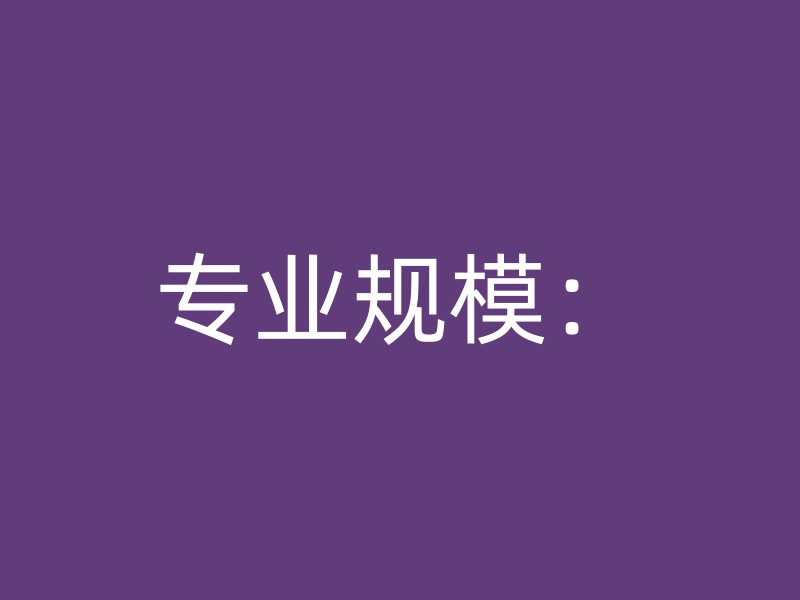 专业规模：