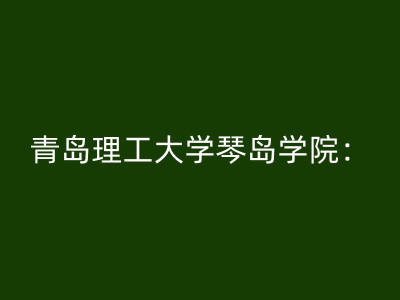 青岛理工大学琴岛学院：