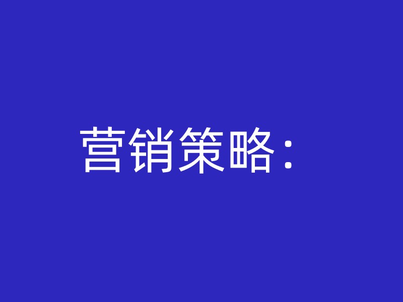 营销策略：