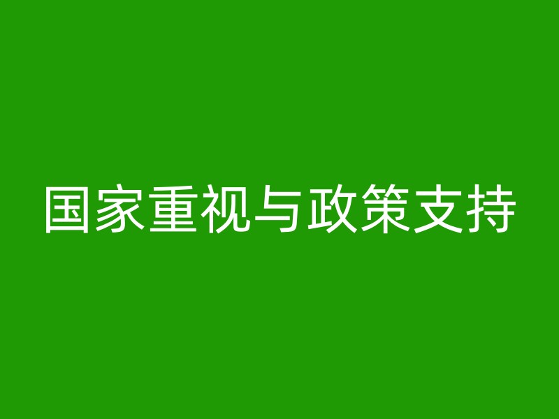 国家重视与政策支持