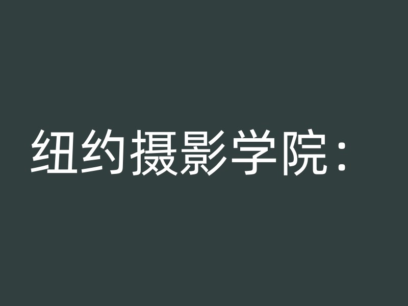 纽约摄影学院：