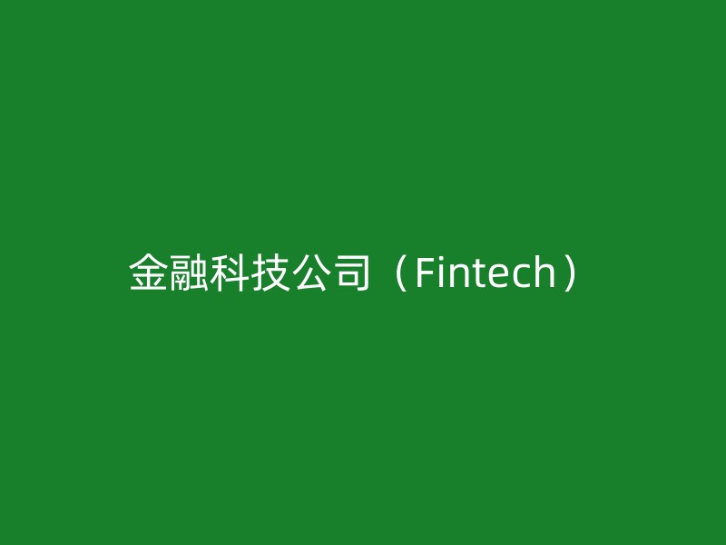 金融科技公司（Fintech）